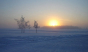 Sibirischer Winter - Foto: hobnob_malevolence  - CC BY-SA 2.0